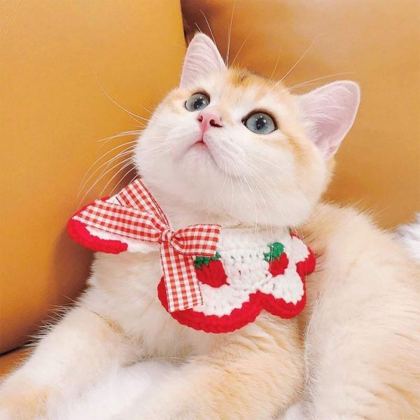 Cute Strawberry Pet Scarf