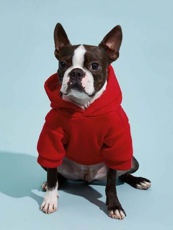 Solid Color Pet Hoodie