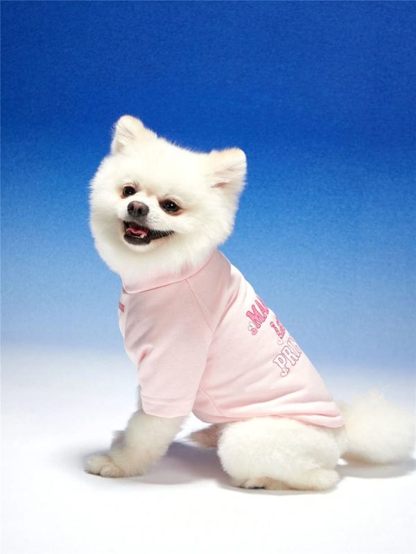 PETSIN Cute Letter Printed Pink Unisex Pet Hoodie For Cats And Dogs