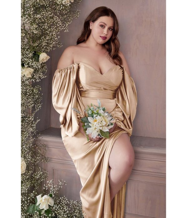 Ladivine by Cinderella Divine Rose Gold Soft Satin Long Sleeve Curve Dress - 4X/22-24