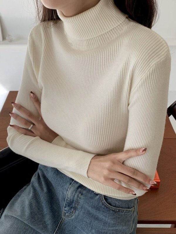 DAZY New Arrival Business Casual Solid Color Turtleneck Sweater For Autumn,Long Sleeve Tops