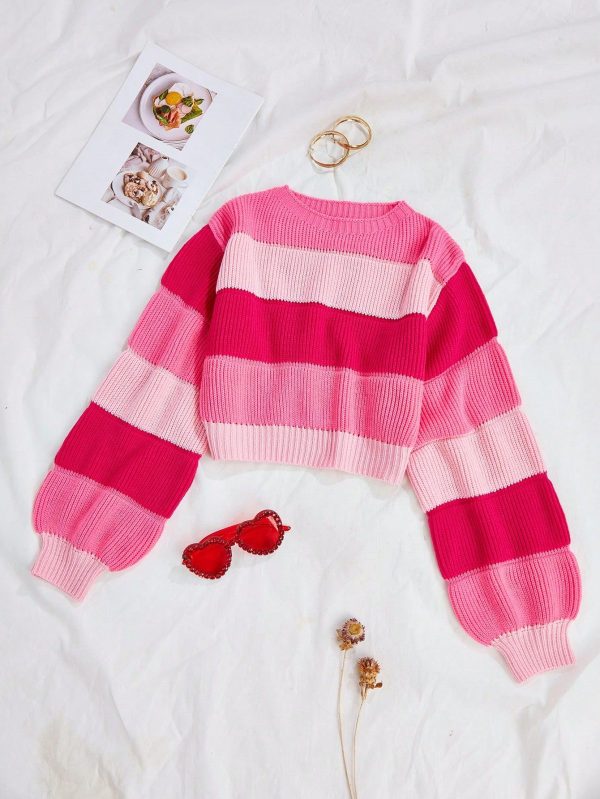 Colorblock Lantern Sleeve Crop Sweater,Long Sleeve Tops
